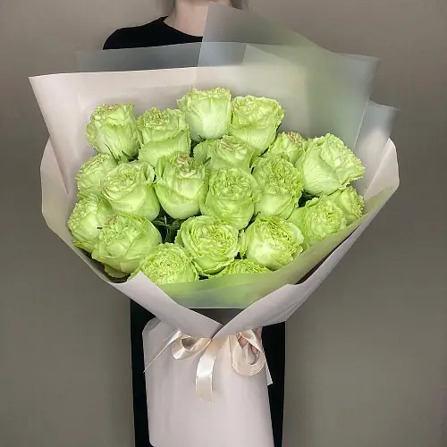 19 Зеленых Роз в упаковке 