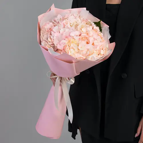   3 Розовые Гортензии в упаковке 