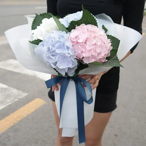 На фото №2 5 Нежных Гортензий