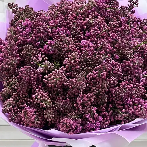 На фото №2 25 веток сирени в дизайнерской упаковке
