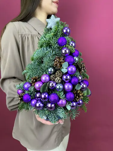На фото №2 Цветы живые, Новогодняя композиция из с нобилисом "Елка с фиолетовыми шарами"