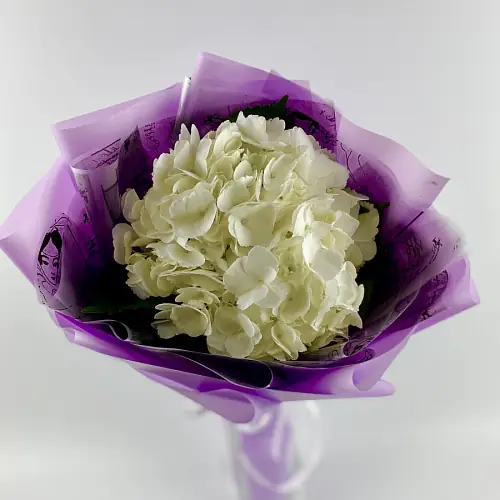 Букет "Белая Гортензия"