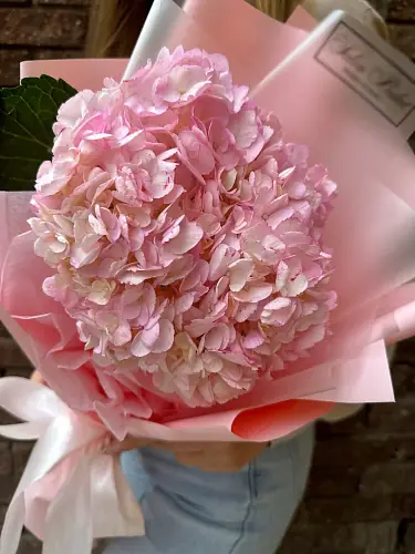 На фото №3 Розовая гортензия в дизайнерской упаковке