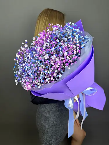 На фото №4 Гипсофила 5 шт