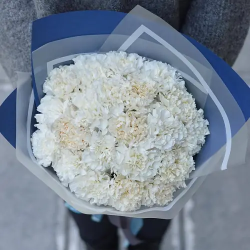 21 белая гвоздики 