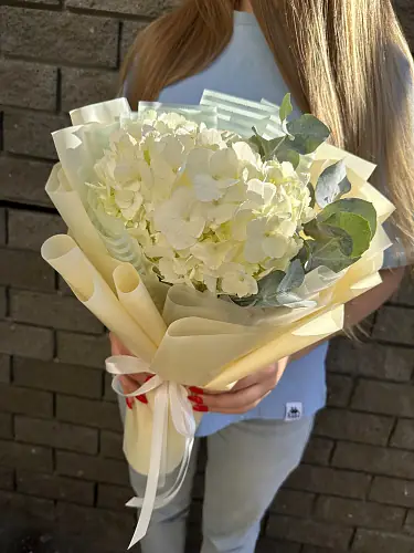 На фото №2 Нежная гортензия