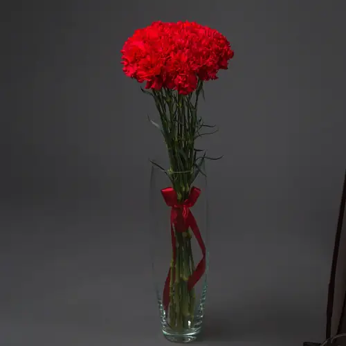 15 Красных Гвоздик