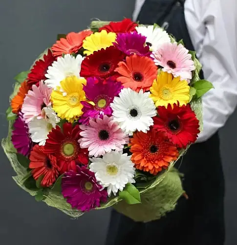 Букет из 25 гербер микс