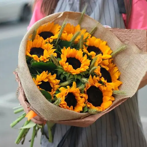 9 Подсолнухов в упаковке