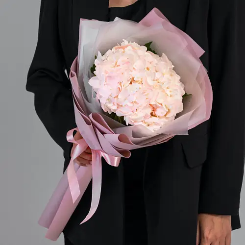 Букет живых цветов из нежной гортензии в дизайнерской упаковке