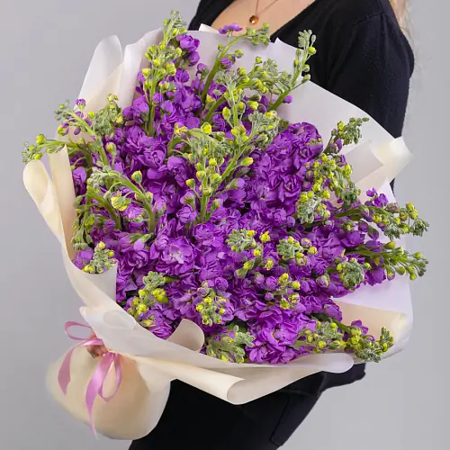 35 Фиолетовых Маттиол в упаковке