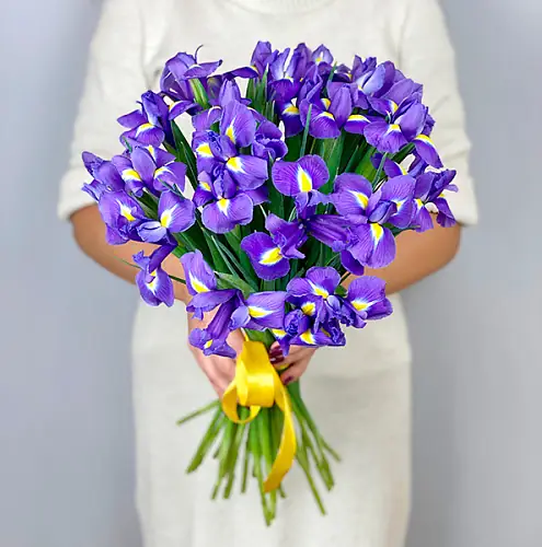 На фото №2 Букет из 25 ирисов