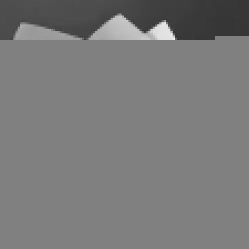 Нежный Букет из Пионовидной розы в упаковке 