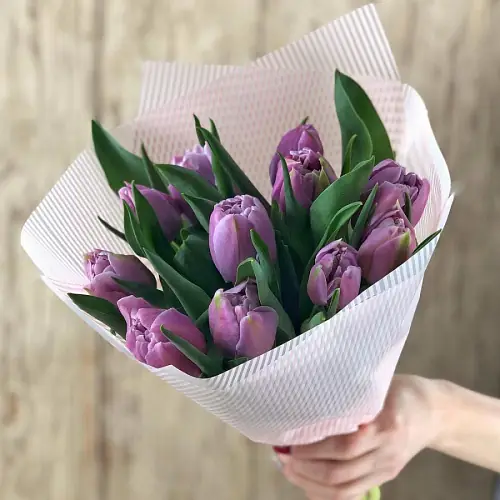 11 Сиреневых Тюльпанов