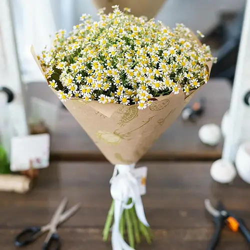 15 Ромашек Кустовых в упаковке