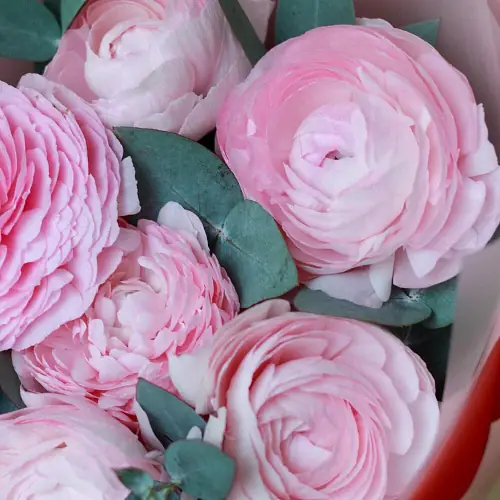 На фото №3 Нежные Ранункулюсы и Эвкалипт