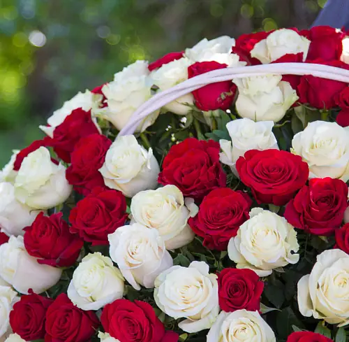 На фото №2 Корзина красно белая Эквадор