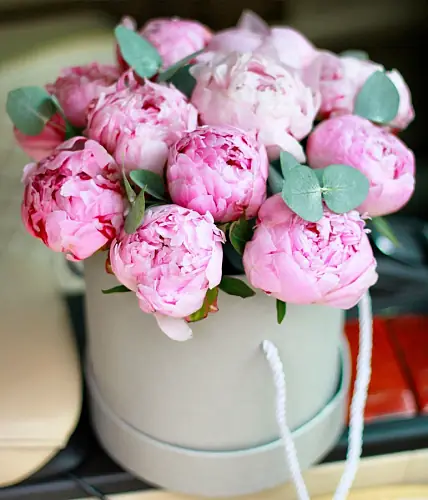 11 Пионов Сара Бернар в коробке