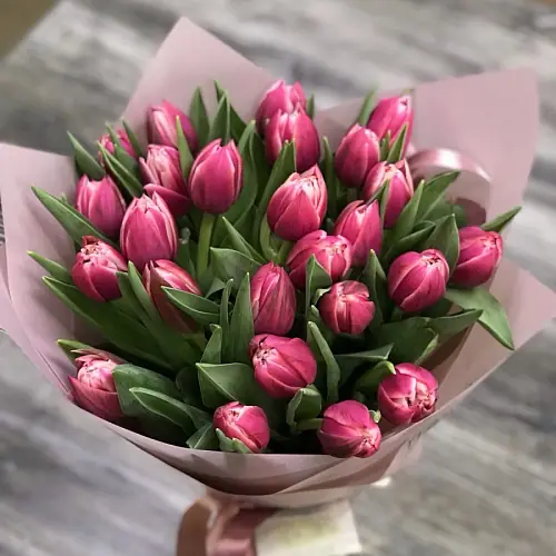 25 Тюльпанов Колумбус