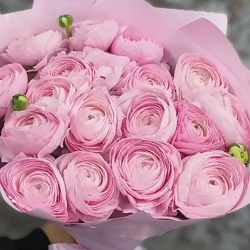 На фото №2 19 розовых ранункулюсов 
