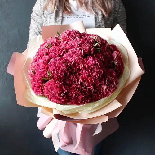 35 Малиновых Гвоздик в упаковке 