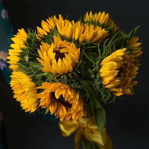 На фото №2 Букет "9 Подсолнухов"