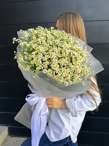 Матрикария в дизайнерской упаковке