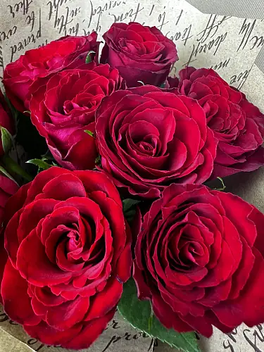 На фото №4 Букет живых цветов из 9 Красных роз оформленный в дизайнерскую упаковку