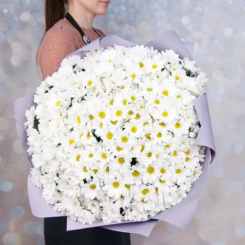 51 кустовая хризантема