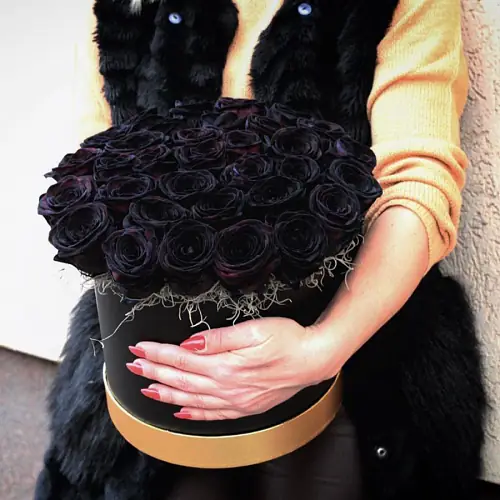 35 Черных Роз в коробке