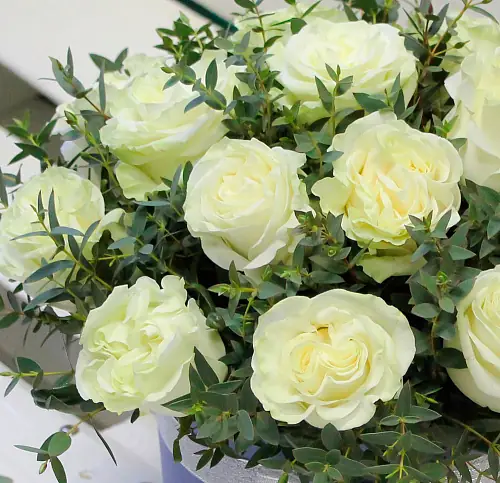 На фото №2 Коробка с розами “Белая мечта”