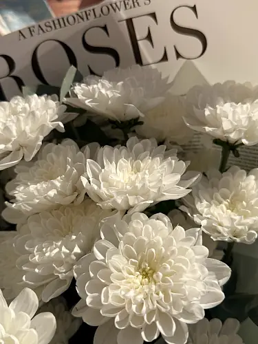 На фото №5 3 Кустовые хризантемы в упаковке