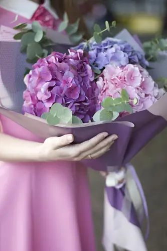 На фото №2 3 Разноцветные Гортензии в дизайнерской упаковке