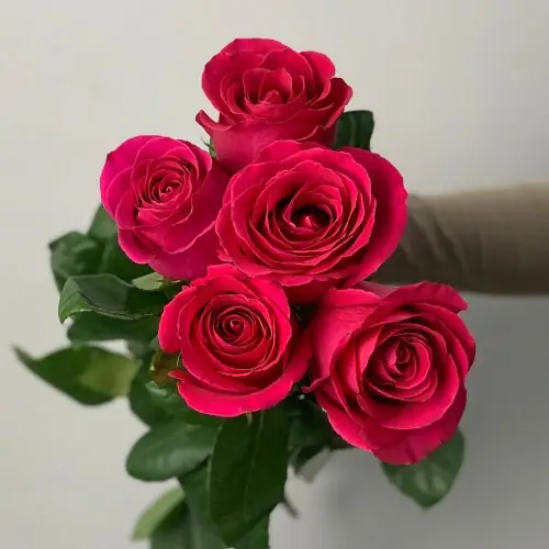 На фото №2 5 Ярких роз