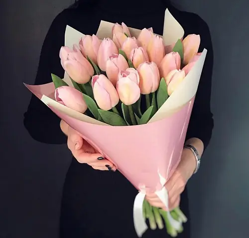 19 Нежных Тюльпанов