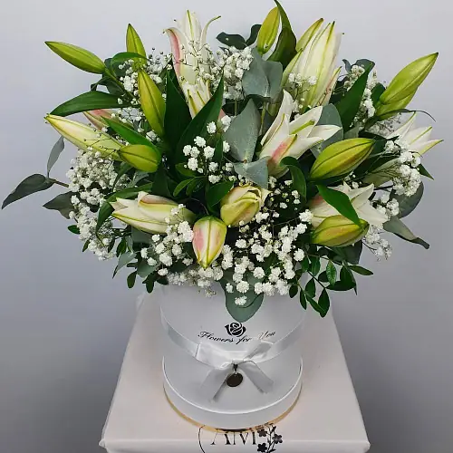 Композиция в коробке с лилией и гипсофилой