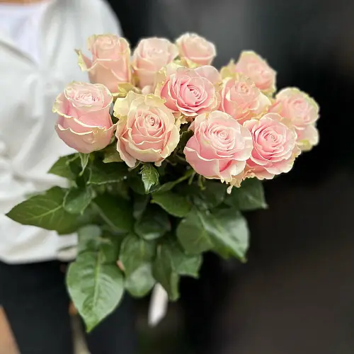 11 Светло-Розовых роз
