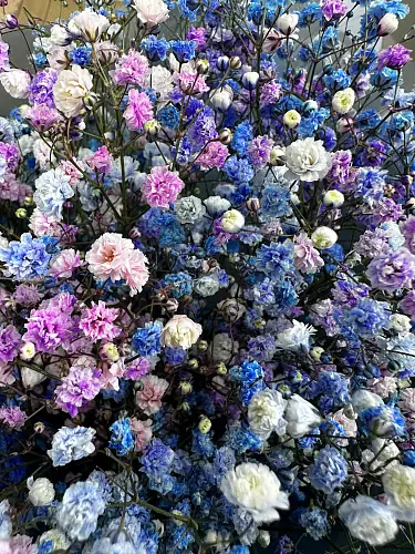 На фото №5 Букет из радужной гипсофилы