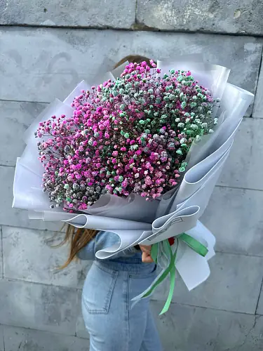 На фото №7 Гипсофила Цветная микс