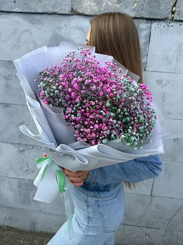 На фото №3 Гипсофила Цветная микс