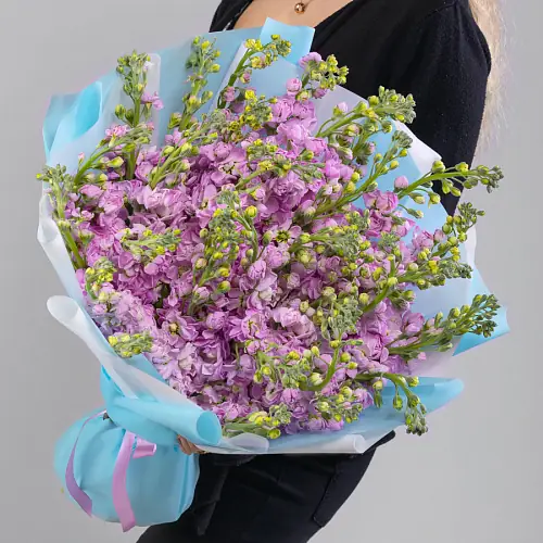 35 Розовых Маттиол в упаковке