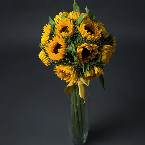 На фото №3 15 Подсолнухов