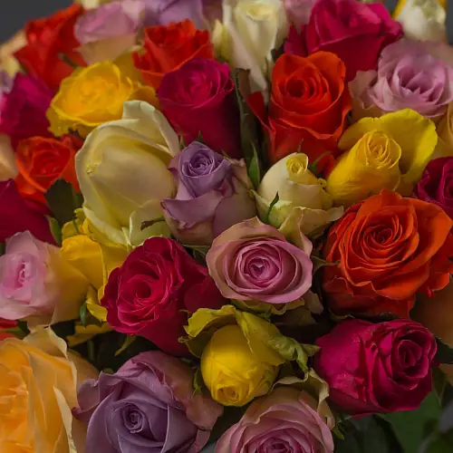 На фото №4 51 Роза Микс под ленту 