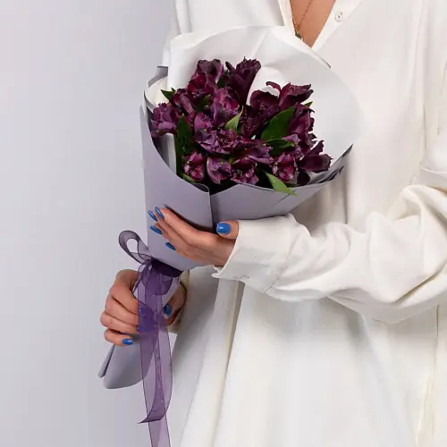 5 Фиолетовых Альстромерий