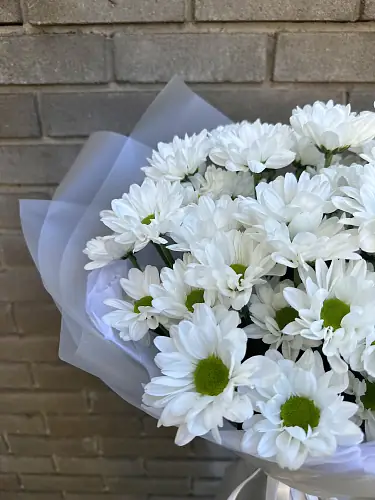 На фото №5 Букет живых цветов из 7 кустовых хризантем
