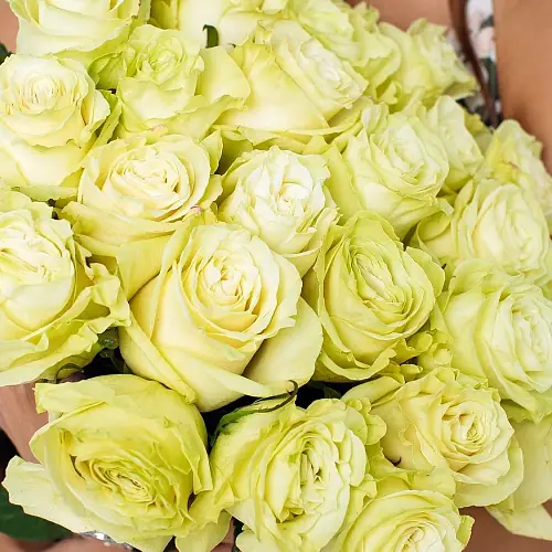 На фото №2 25 Элитных роз Mondial (Эквадор)