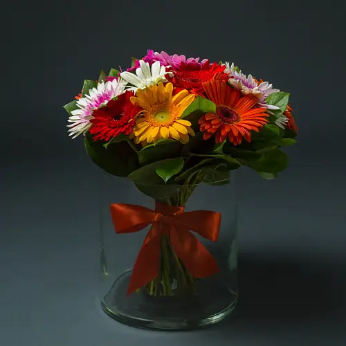 На фото №3 15 Разноцветных Гербер