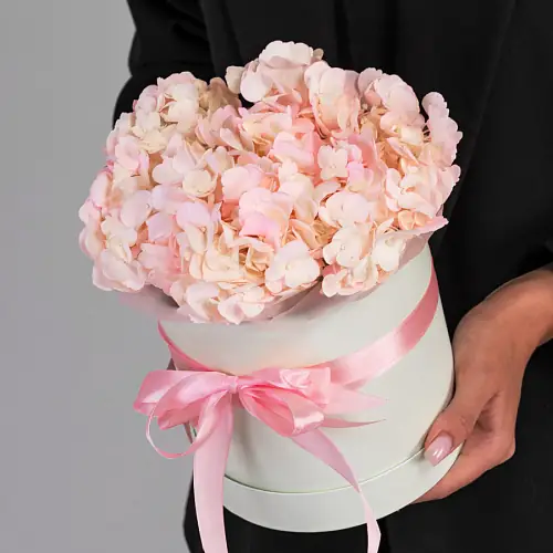  1 Розовая Гортензия в коробке