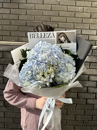 На фото №2 3 Голубые гортензии