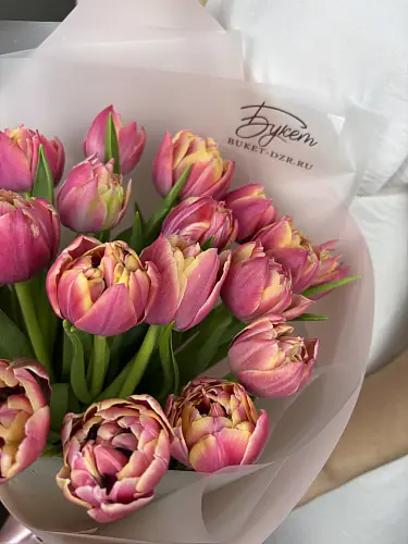 На фото №4 19 Тюльпанов Колумбус